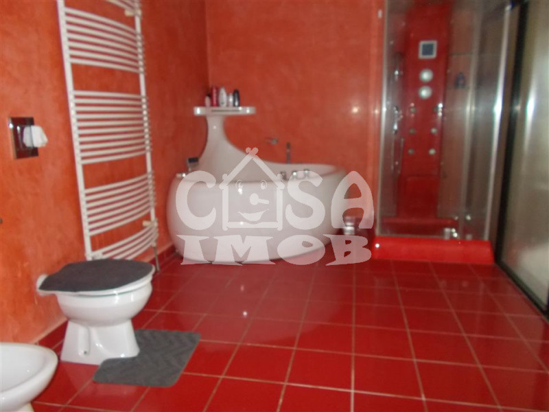 Vanzare vila deosebita in Aninoasa