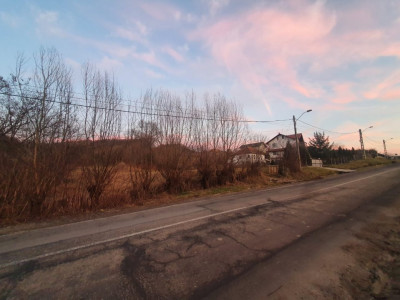 Teren intravilan Curtea de Arges | Zona Padure | 5.000 mp