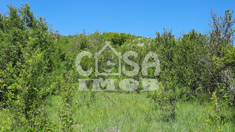 Comision 0 - Vanzare teren în com. Aninoasa jud. Dâmbovita