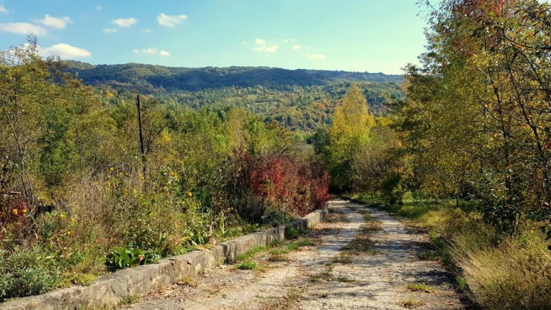 Proprietate complexa intr-o zona mirifica. Drajna, Prahova