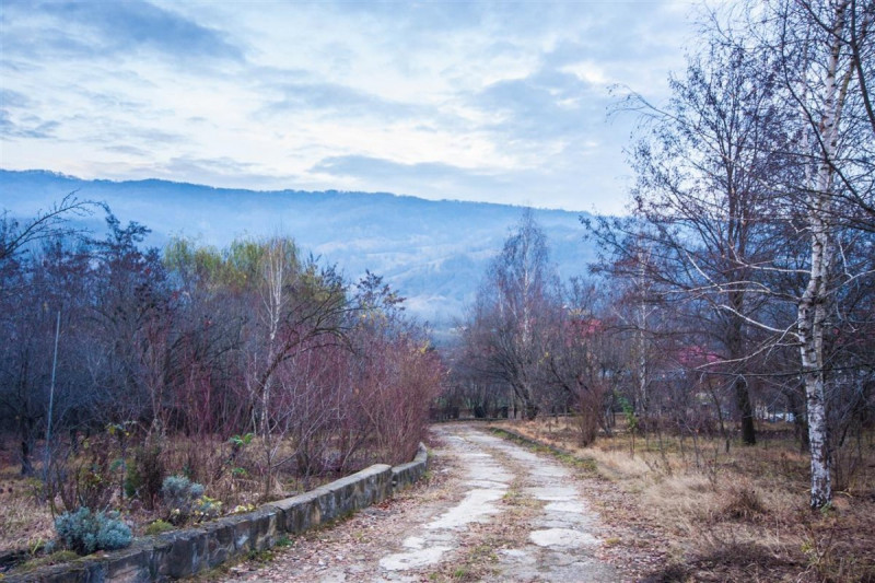 Proprietate complexa intr-o zona mirifica. Drajna, Prahova