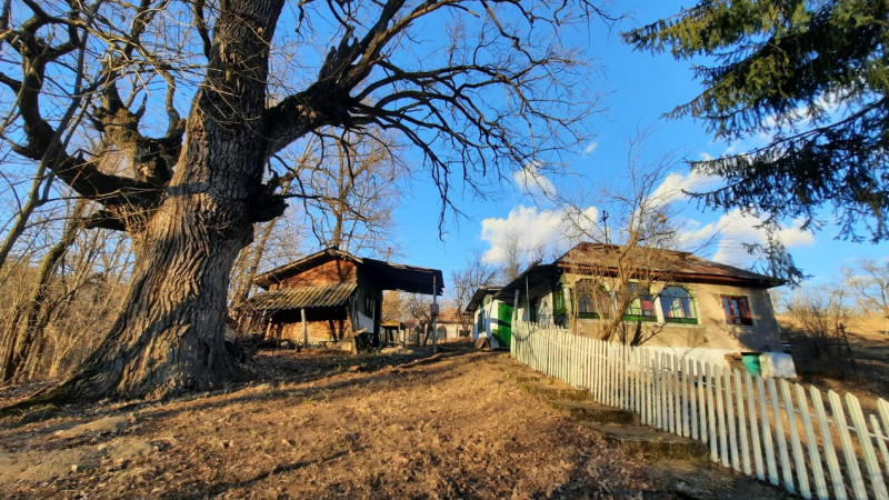 Vanzare teren+casa batraneasca in Urseiu, judet Dambovita