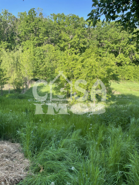 Comision 0 - Vânzare casă 3 camere + teren 1.932 mp în Pădureni, jud. Dâmbovita