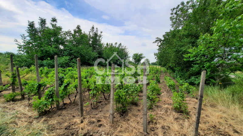 COMISION 0 - VANZARE TEREN INTRAVILAN, SARANGA, JUD. BUZAU