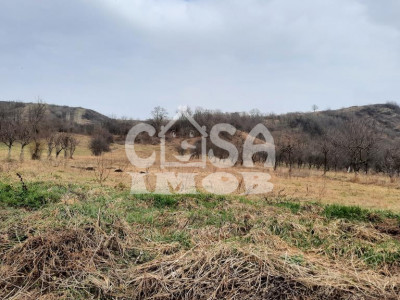 Comision 0 - Vanzare teren in com. ANINOASA, jud.Dambovita