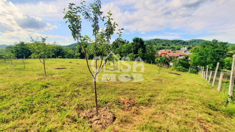 Comision 0 - Vilă P+1, zonă superbă, lângă Pucioasa, judetul Dâmbovița