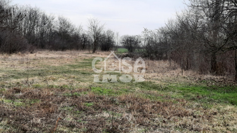 Comision 0 - Vanzare teren în sat Poroinica, com. Mătăsaru, jud. Dâmbovița