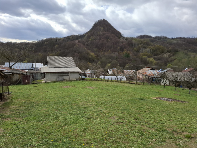 Vânzare căsuță rustică în com. Bărbulețu, jud. Dâmvovița