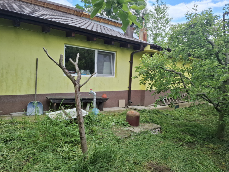 Comision 0 - Vânzare casaă în com. Malu cu Flori, jud. Dâmbovița