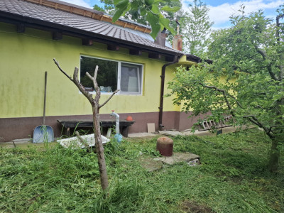 Comision 0 - Vânzare casaă în com. Malu cu Flori, jud. Dâmbovița