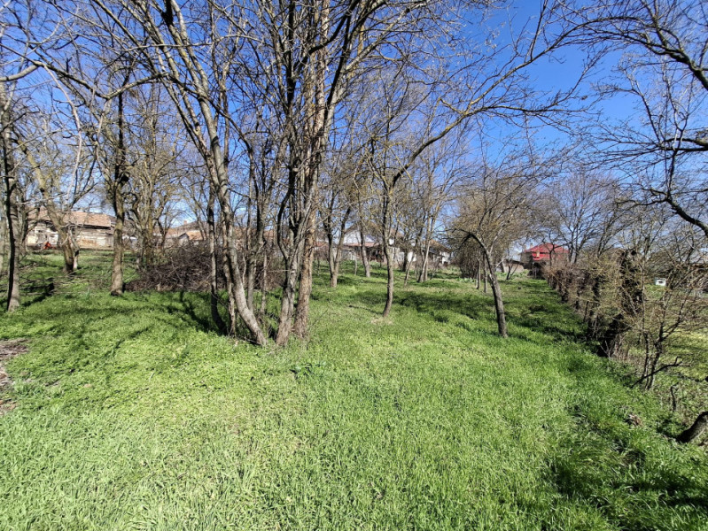 Vânzare teren + casă bătrânească în Răcari, la DN71