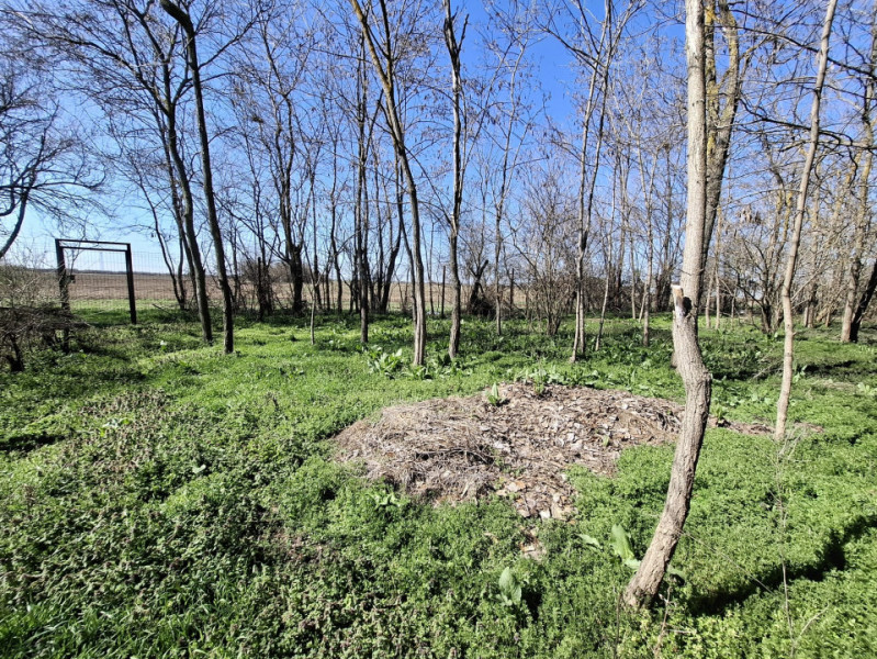 Vânzare teren + casă bătrânească în Răcari, la DN71