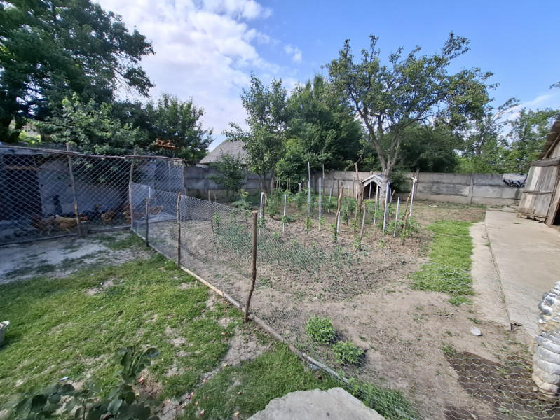 Comision 0 - Casă aproape de pădure în com. Dragomiresti, sat Ungureni