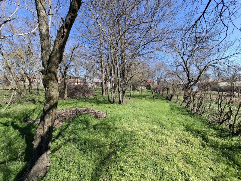 Vânzare teren + casă bătrânească în Răcari, la DN71