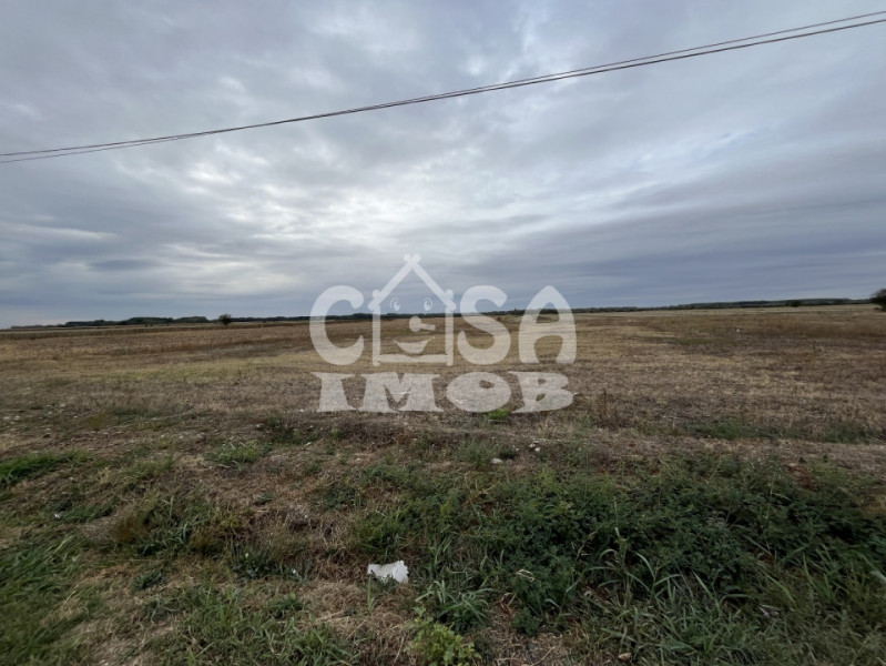 Teren intravilan 1100 mp lot de casa stradal Merii