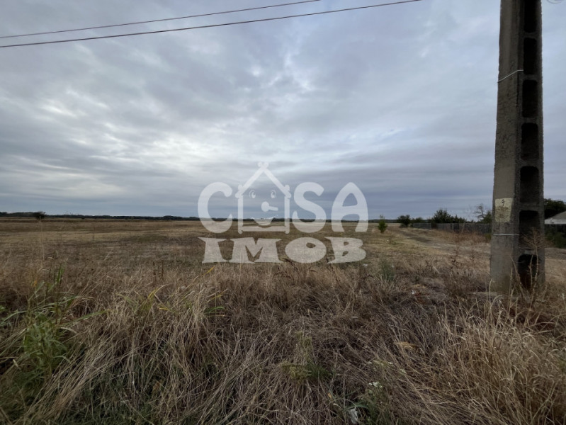 Teren intravilan 1100 mp lot de casa stradal Merii