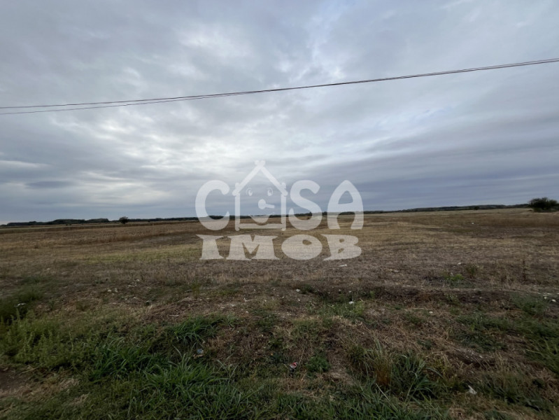 Teren intravilan 1100 mp lot de casa stradal Merii