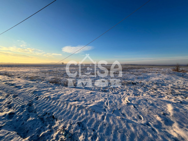 Teren extravilan padure 6000 mp vizavi Insula Crabilor