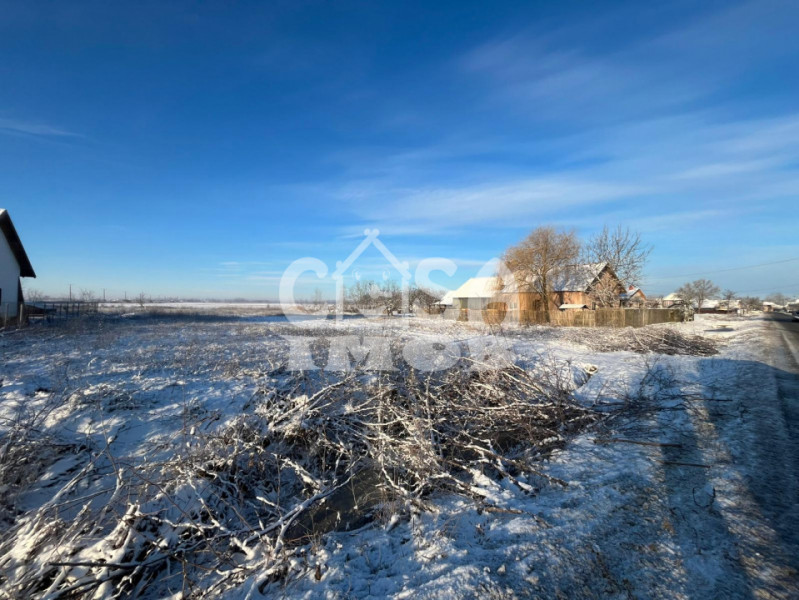 Teren extravilan padure 6000 mp vizavi Insula Crabilor