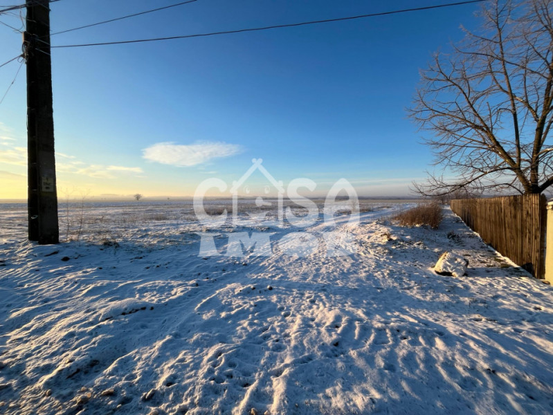 Teren extravilan padure 6000 mp vizavi Insula Crabilor