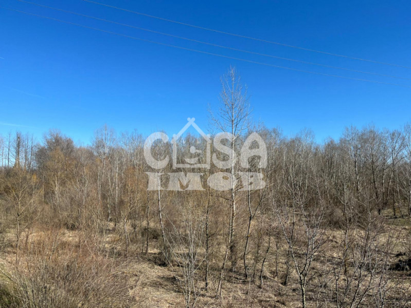 Teren extravilan pădure -  6.000 mp, vizavi de Insula Crabilor, Ionești