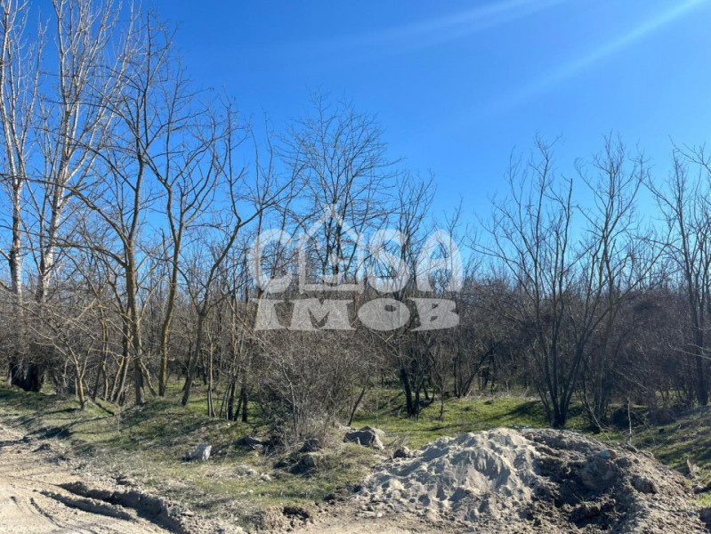 Teren extravilan pădure -  6.000 mp, vizavi de Insula Crabilor, Ionești