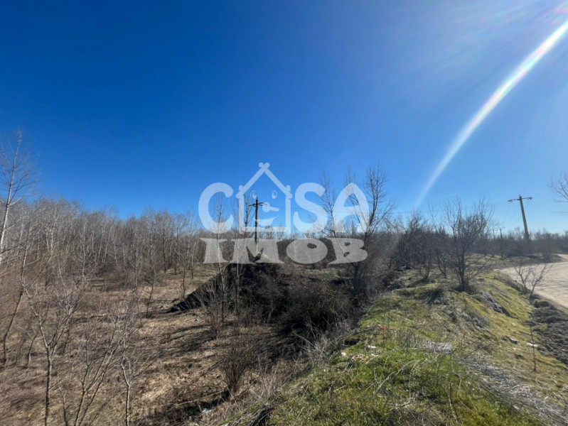 Teren extravilan pădure -  6.000 mp, vizavi de Insula Crabilor, Ionești