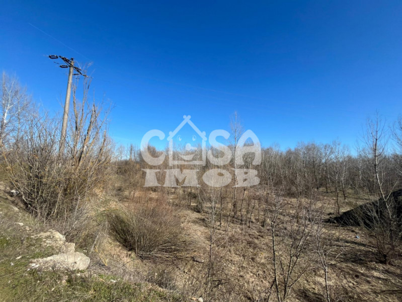 Teren extravilan pădure -  6.000 mp, vizavi de Insula Crabilor, Ionești