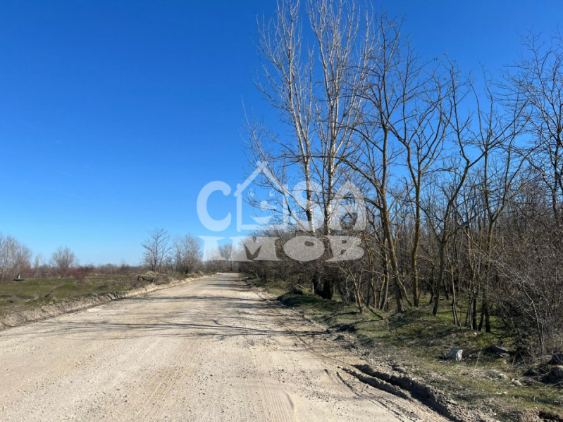 Teren extravilan pădure -  6.000 mp, vizavi de Insula Crabilor, Ionești