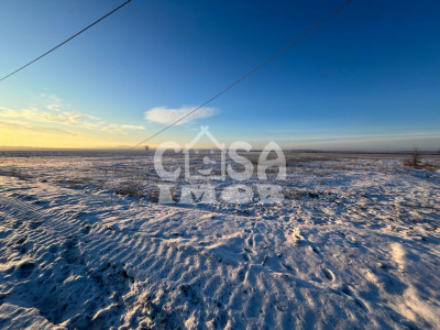 Teren extravilan padure 6000 mp vizavi Insula Crabilor