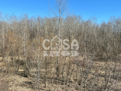 Teren extravilan pădure -  6.000 mp, vizavi de Insula Crabilor, Ionești