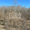 Teren extravilan pădure -  6.000 mp, vizavi de Insula Crabilor, Ionești