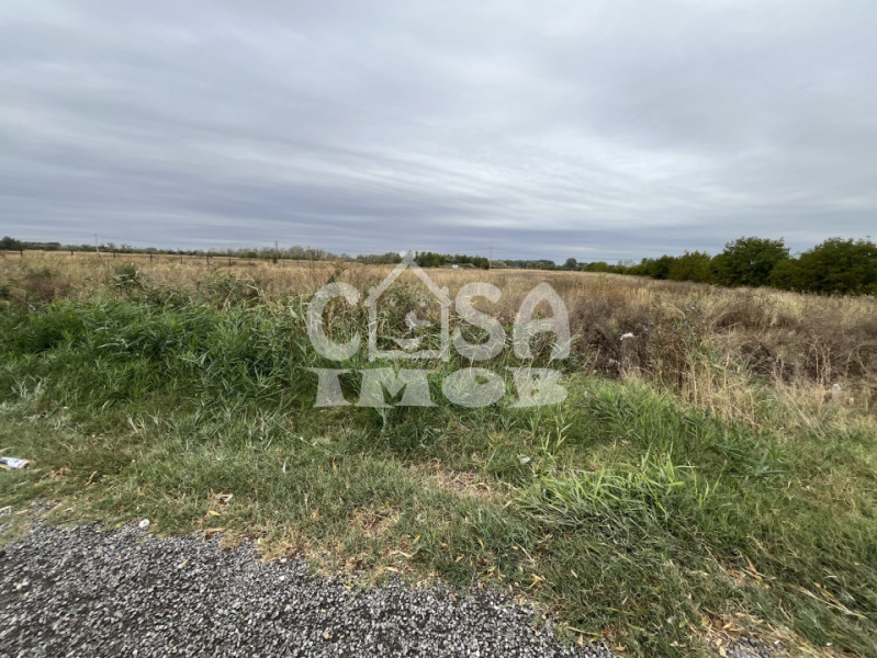 Teren intravilan 15000 mp oportunitate business