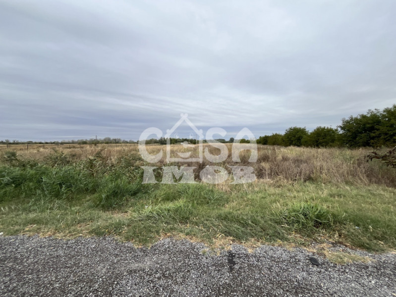 Teren intravilan 15000 mp oportunitate business