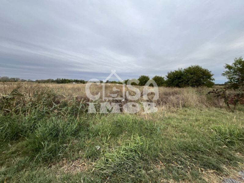 Teren intravilan 15000 mp oportunitate business