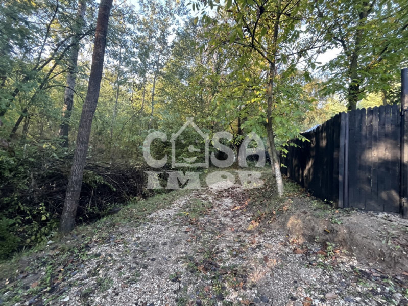 Casa mobilata P+M si utilata cu vedere spre padure