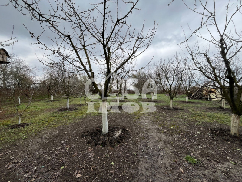 Casuta din lemn de weekend sau casă de vacanță cu teren si livada