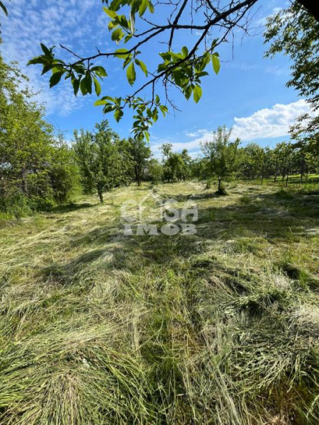 Casă la Doicesti cu teren de 1300 mp livadă și acces rapid către Târgoviște