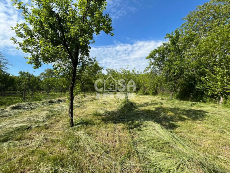Casă la Doicesti cu teren de 1300 mp livadă și acces rapid către Târgoviște