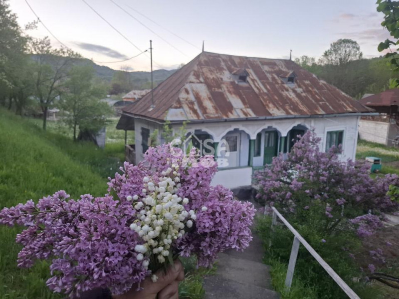 Vânzare casă+teren în com. Bărbulețu, jud. Dâmbovița